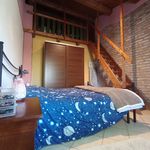 Rent 1 bedroom apartment of 60 m² in Montagnana