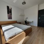Rent 2 bedroom apartment of 54 m² in Lodz