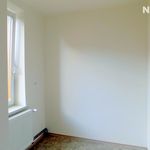 Pronajměte si 1 ložnic/e byt o rozloze 55 m² v Nový Bor