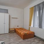 Rent 1 bedroom apartment of 16 m² in Záryby