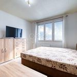 Rent 1 bedroom apartment of 36 m² in Bezdružice
