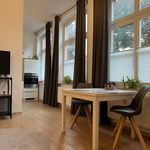 Rent 1 bedroom apartment of 47 m² in Bad Oeynhausen