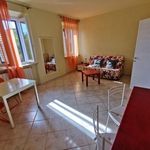Rent 1 bedroom apartment of 70 m² in Livorno