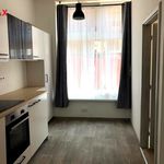Rent 1 bedroom apartment of 42 m² in Janov nad Nisou