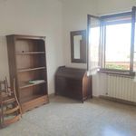Rent 3 bedroom apartment of 129 m² in Rome