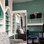 Rent 1 bedroom apartment of 30 m² in Debrecen