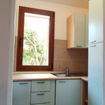 Rent 2 bedroom apartment of 50 m² in Arzachena