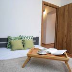 Wynajmij 2 sypialnię apartament z 35 m² w Wałbrzych