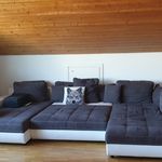 Rent 1 bedroom apartment of 51 m² in Aesch (BL)