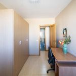 Rent 2 bedroom apartment in Paterna