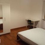 Affitto 5 camera appartamento di 120 m² in Roma