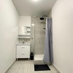 Rent 5 bedroom apartment of 11 m² in Brest
