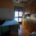 Affitto 4 camera appartamento di 16 m² in Messina
