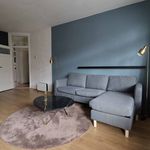 Huur 1 slaapkamer appartement van 65 m² in Rotterdam