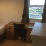 Rent 3 bedroom apartment in Newcastle City Centre