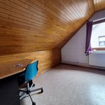 Rent 4 bedroom house in Houthalen-Helchteren