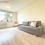 Rent 3 bedroom apartment of 60 m² in Brno