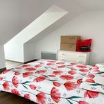 Rent 1 bedroom apartment in Rambouillet