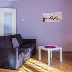 Rent 1 bedroom apartment of 53 m² in Lyon