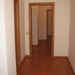 Rent 3 bedroom apartment of 95 m² in Rome