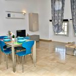 Rent 2 bedroom apartment of 50 m² in Pisa