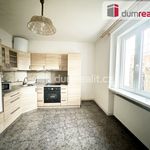 Rent 2 bedroom apartment of 60 m² in Teplice
