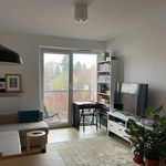 Rent 2 bedroom apartment of 41 m² in Poznan