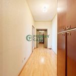 Rent 1 bedroom apartment of 25 m² in Torino