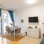 Rent 3 bedroom apartment of 90 m² in Ciampino