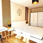 Rent 2 bedroom apartment of 50 m² in Budapest