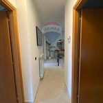 Affitto 3 camera appartamento di 79 m² in Viterbo