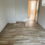 Rent 2 bedroom apartment of 36 m² in Dobřany