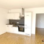 Rent 3 bedroom apartment of 59 m² in Graz