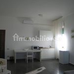 Rent 1 bedroom house of 50 m² in Foggia