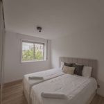 Rent 1 bedroom apartment of 55 m² in Porto