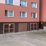 Rent 1 bedroom apartment of 46 m² in Plzeň