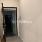 Rent 4 bedroom apartment of 79 m² in Bologna