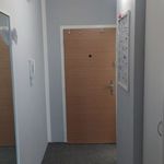Rent 1 bedroom apartment of 27 m² in Zabreh