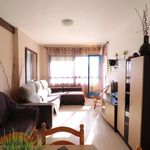 Rent 1 bedroom apartment of 55 m² in Orihuela