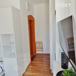 Rent 1 bedroom house in Trutnov