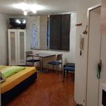 Rent 1 bedroom apartment of 32 m² in Salzburg