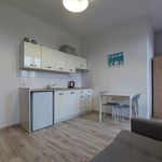 Rent 1 bedroom apartment of 19 m² in Katowice