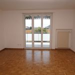 Rent 5 bedroom apartment in Strengelbach