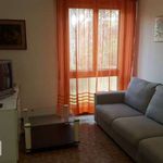 Rent 3 bedroom apartment of 90 m² in Castiglione della Pescaia