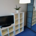 Rent a room of 80 m² in Praha