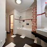 Rent 3 bedroom apartment in Kvasiny