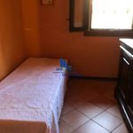 Rent 3 bedroom apartment of 55 m² in Mascalucia