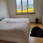 Miete 4 Schlafzimmer wohnung in Münchenbuchsee
