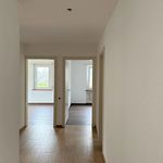 Rent 4 bedroom apartment of 67 m² in Pieterlen