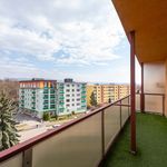 Rent 3 bedroom apartment of 69 m² in Přerov